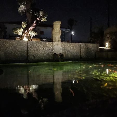 Casa Da Leira Villa Амаранте Екстериор снимка
