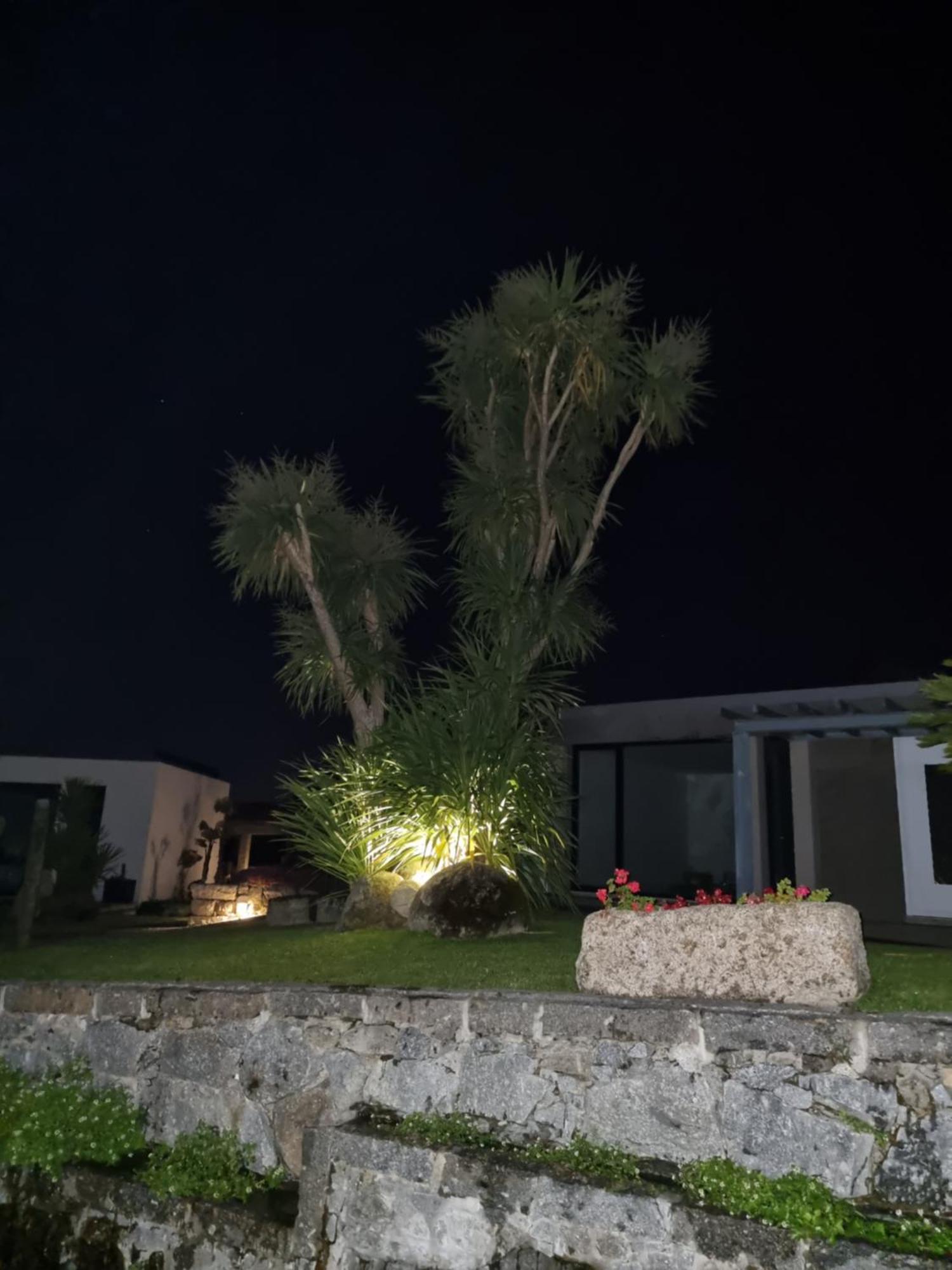 Casa Da Leira Villa Амаранте Екстериор снимка