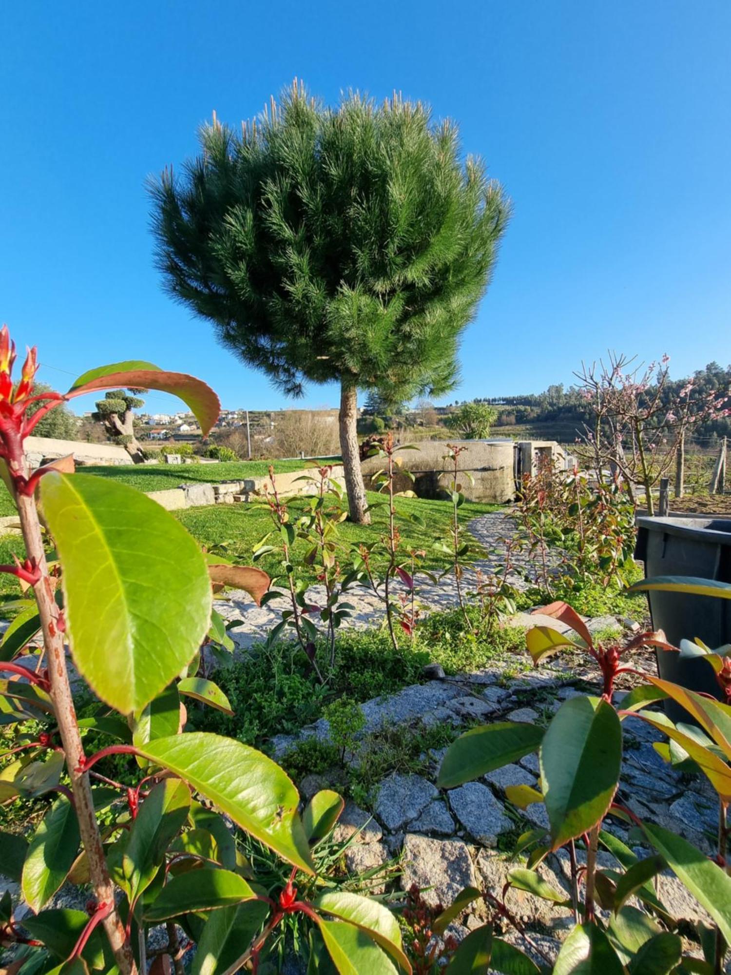 Casa Da Leira Villa Амаранте Екстериор снимка
