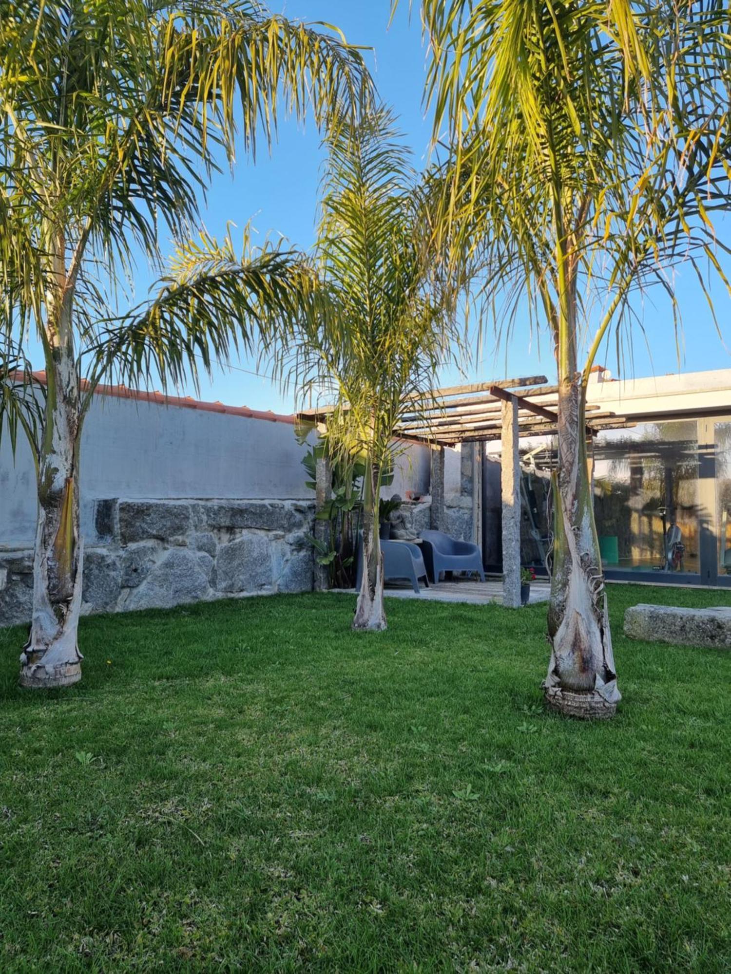 Casa Da Leira Villa Амаранте Екстериор снимка