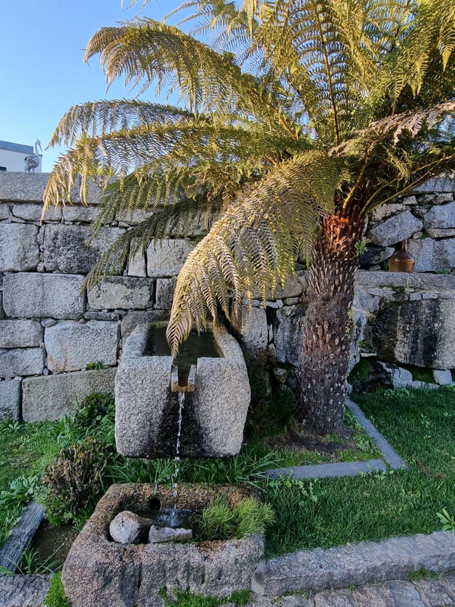 Casa Da Leira Villa Амаранте Екстериор снимка